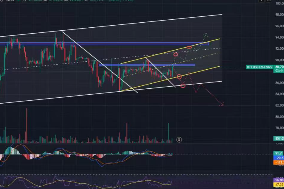 On December 26, we experienced the market trend again, with silver continuing to create historical new highs. Is the bull market for precious metals soaring?