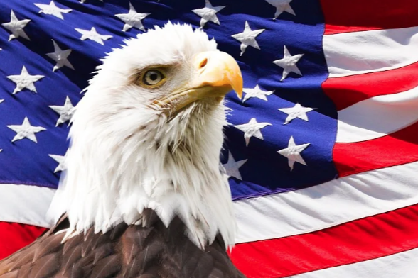 11.21比特币以太坊行情分析：美联储“鹰”声再起，宏观不利多头节节败退，日内看反弹力度