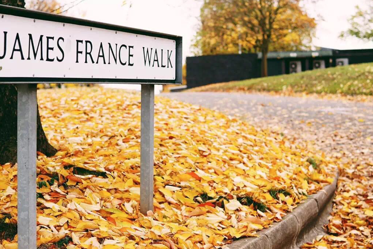 The current state and future of the crypto market