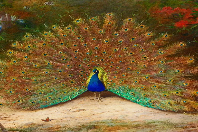 Circle的投资潜力如何？｜疑问解答