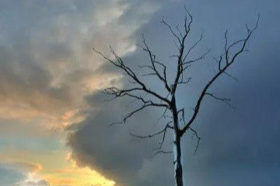 老崔说币:降息结束，牛市的定调还是熊市的开始？